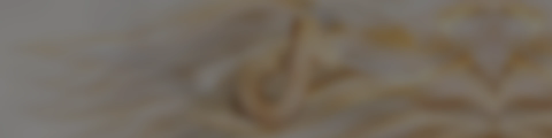 势起全球，向新生长！TikTok for Business 2026 出海营销大会解读