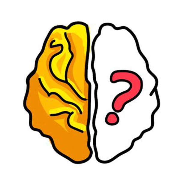 Brain Out
